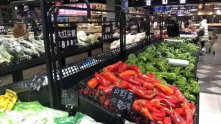 生态审计员 推转发展观：星空体育app下载