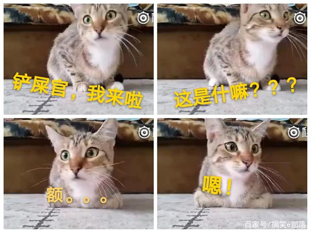 星空体育app下载