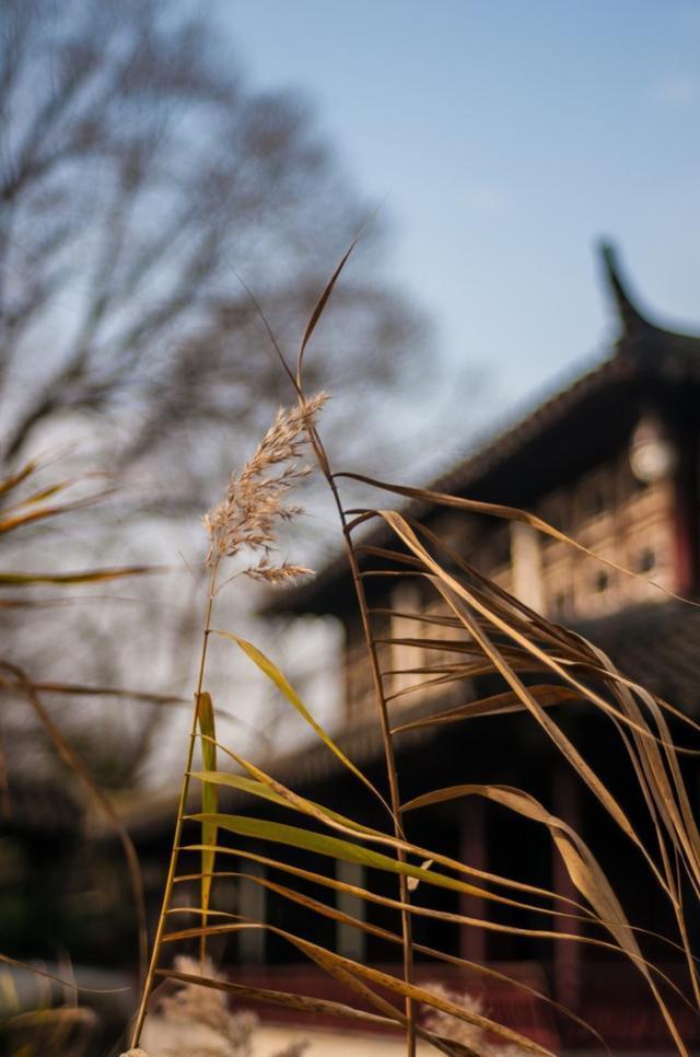 星空体育app下载