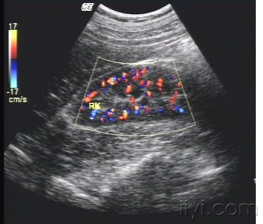 星空体育app下载