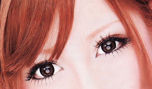 荷兰政府提出，到2050年实现100%的循环经济！-星空体育APP