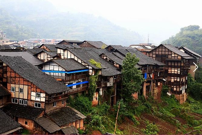 【特别关注】深入预算单元 做好财政服务事情‘星空体育APP’(图2) 星空体育app下载