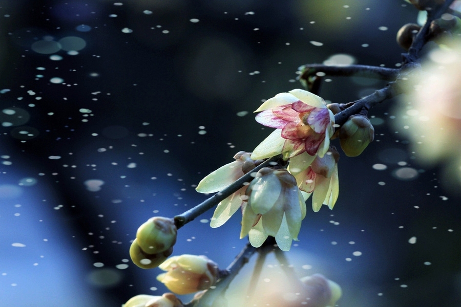 星空体育APP网站-严公钓台作