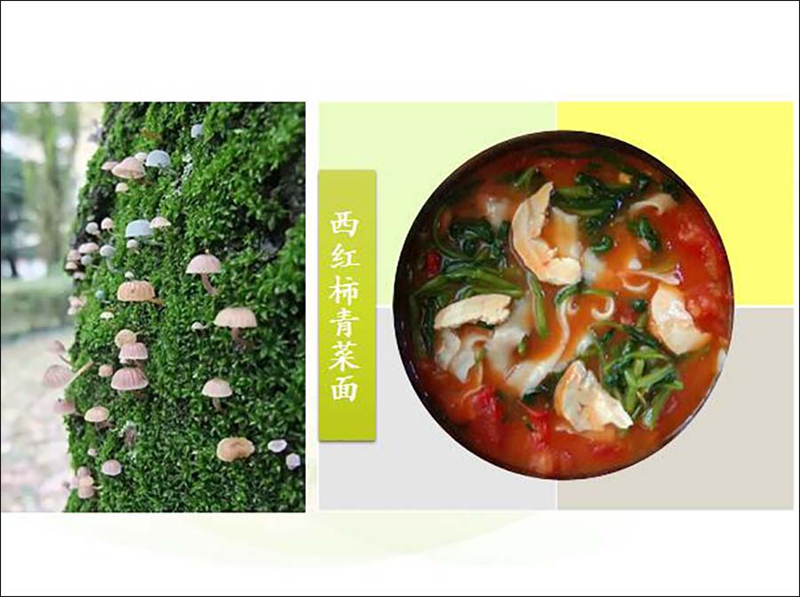 星空体育app下载