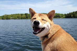 星空体育APP网站