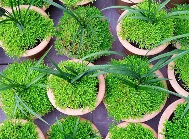 星空体育app下载