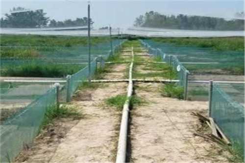 黑龙江木兰:走访企业 征求服务经济意见建议_星空体育APP(图4) 星空体育APP网站