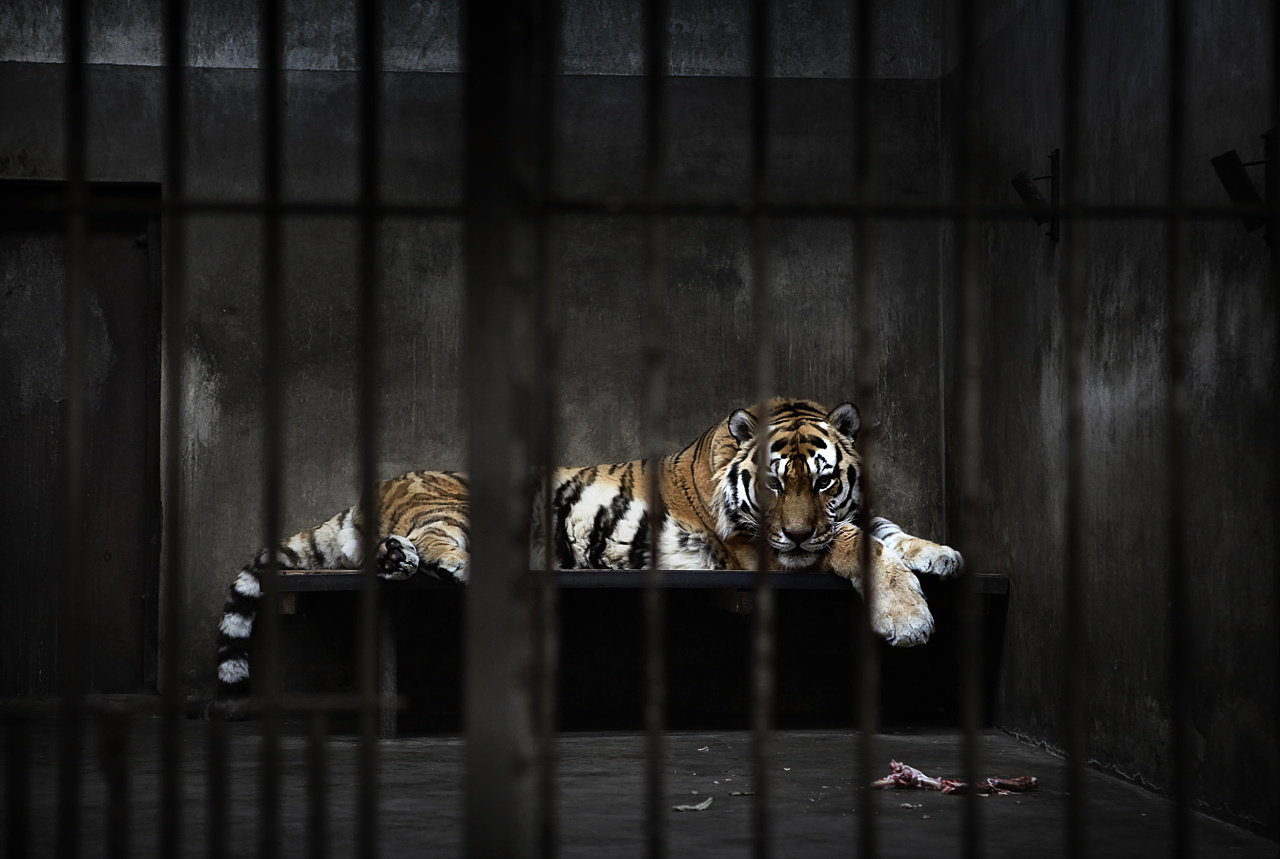 废旧电子电器蕴含巨大宝藏，看日本如何玩转塑料循环再生-星空体育app下载