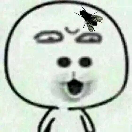 梦见颠茄是什么意思‘星空体育app下载’(图2) 星空体育app下载