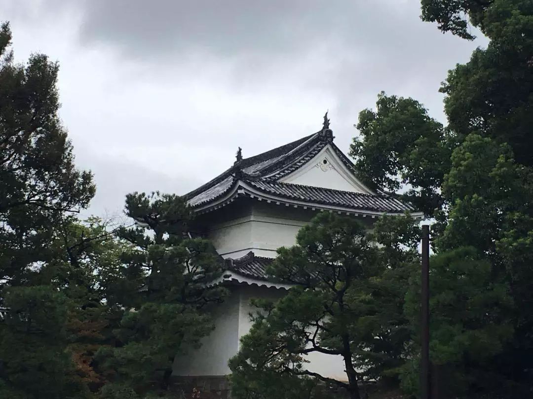 星空体育app下载