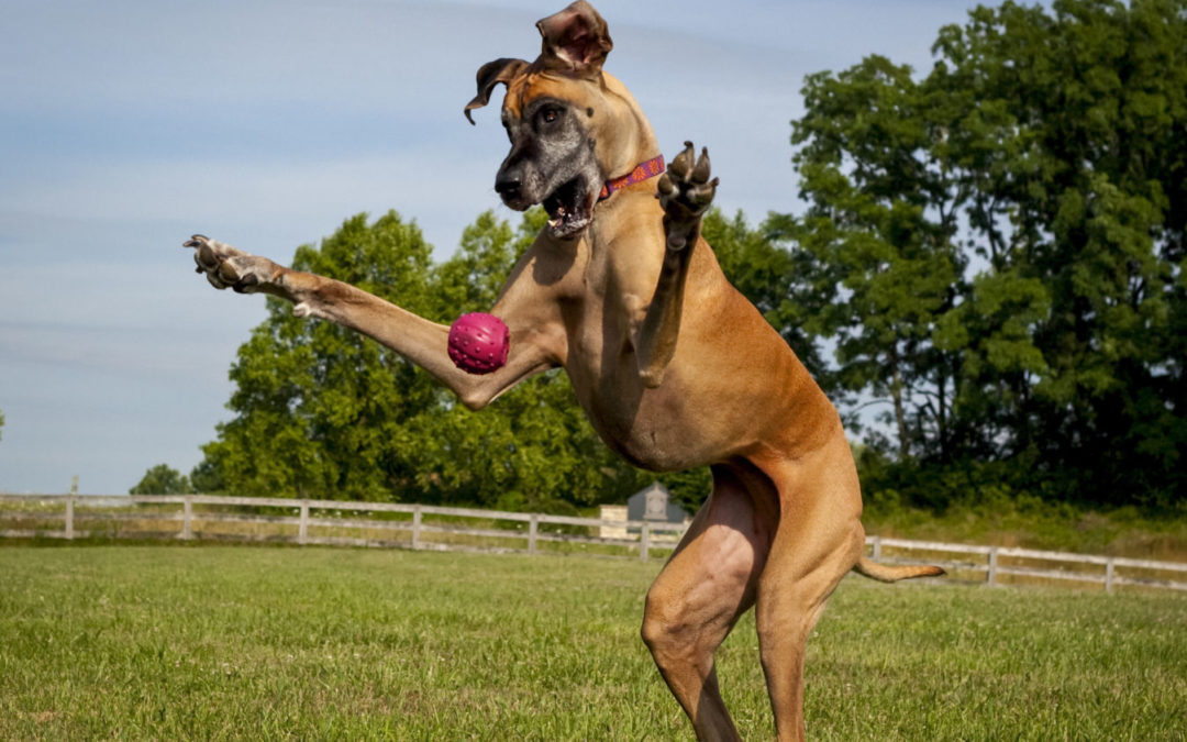 星空体育APP网站