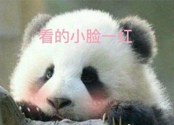 建设美丽中国——习近平新时代中国特色社会主义思想学习纲要“星空体育APP”(图1) 星空体育app下载