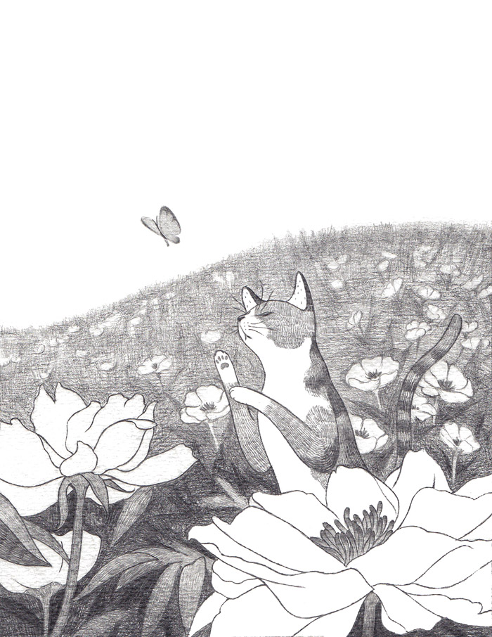 星空体育app下载