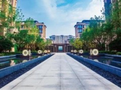 “星空体育APP网站”最近流行的“迷你动物园”,是在拿生命骗钱(图3) 星空体育app下载