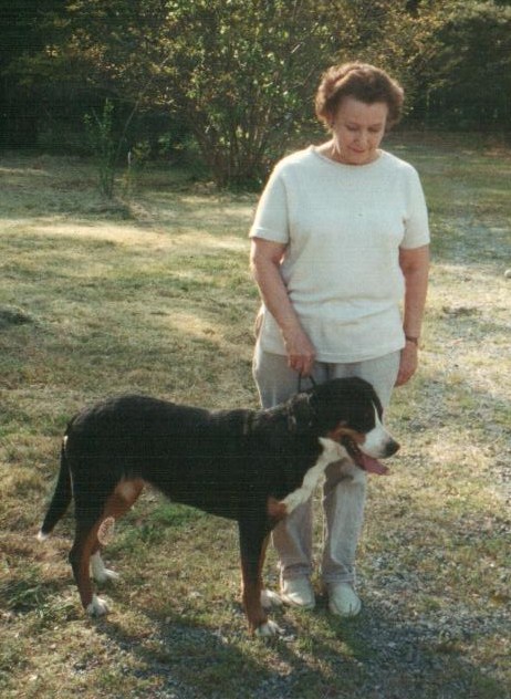 星空体育app下载