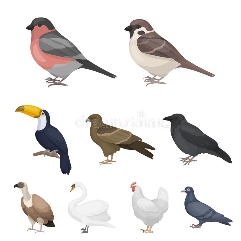 儒溪茶业:打造红土地上的绿色事业|星空体育app下载(图1) 星空体育app下载