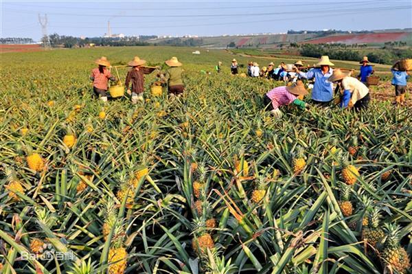 星空体育APP网站