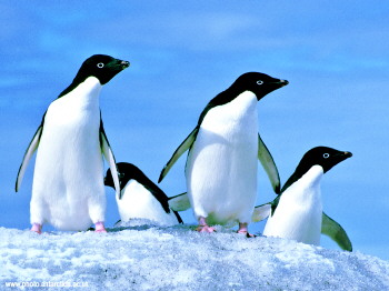 星空体育app下载