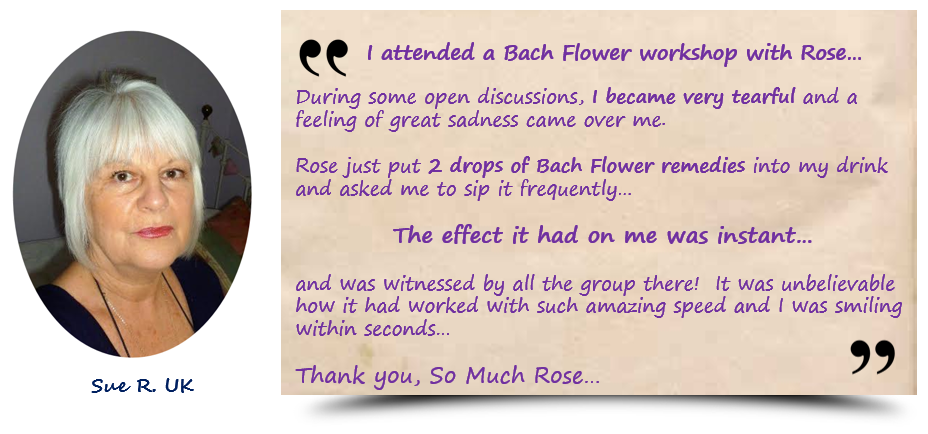 星空体育app下载