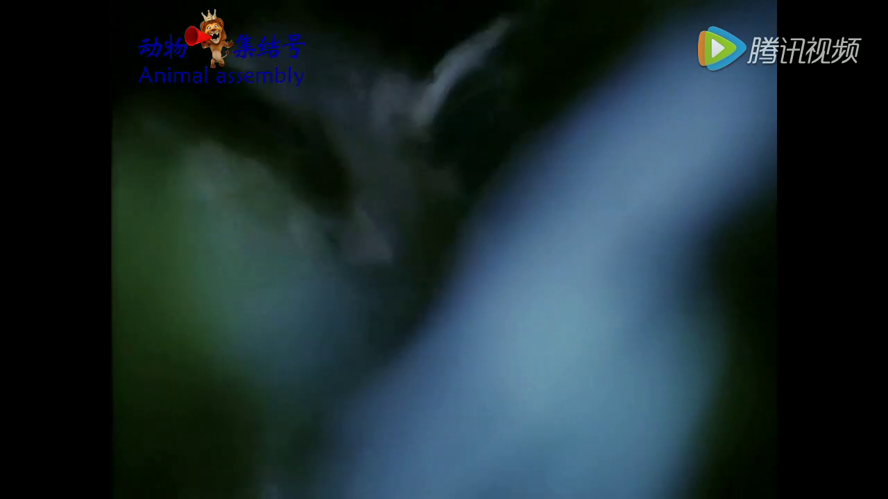 星空体育app下载