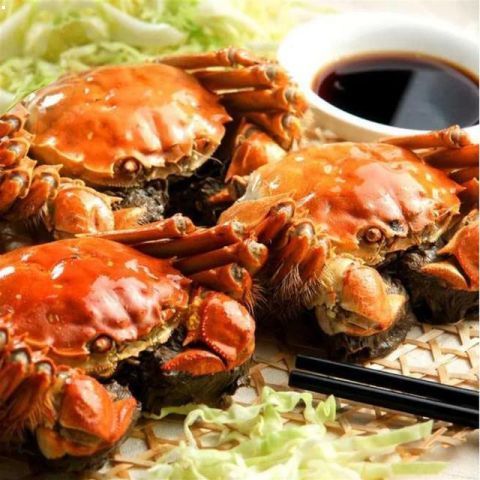 “星空体育app下载”2019人与生物圈计划青年论坛在长白山闭幕(图1) 星空体育APP网站